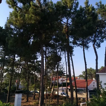 Sunvilla Aroeira Charneca (Setubal)
